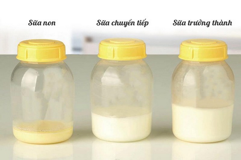 sữa non được xem là nguồn kháng sinh tự nhiên
